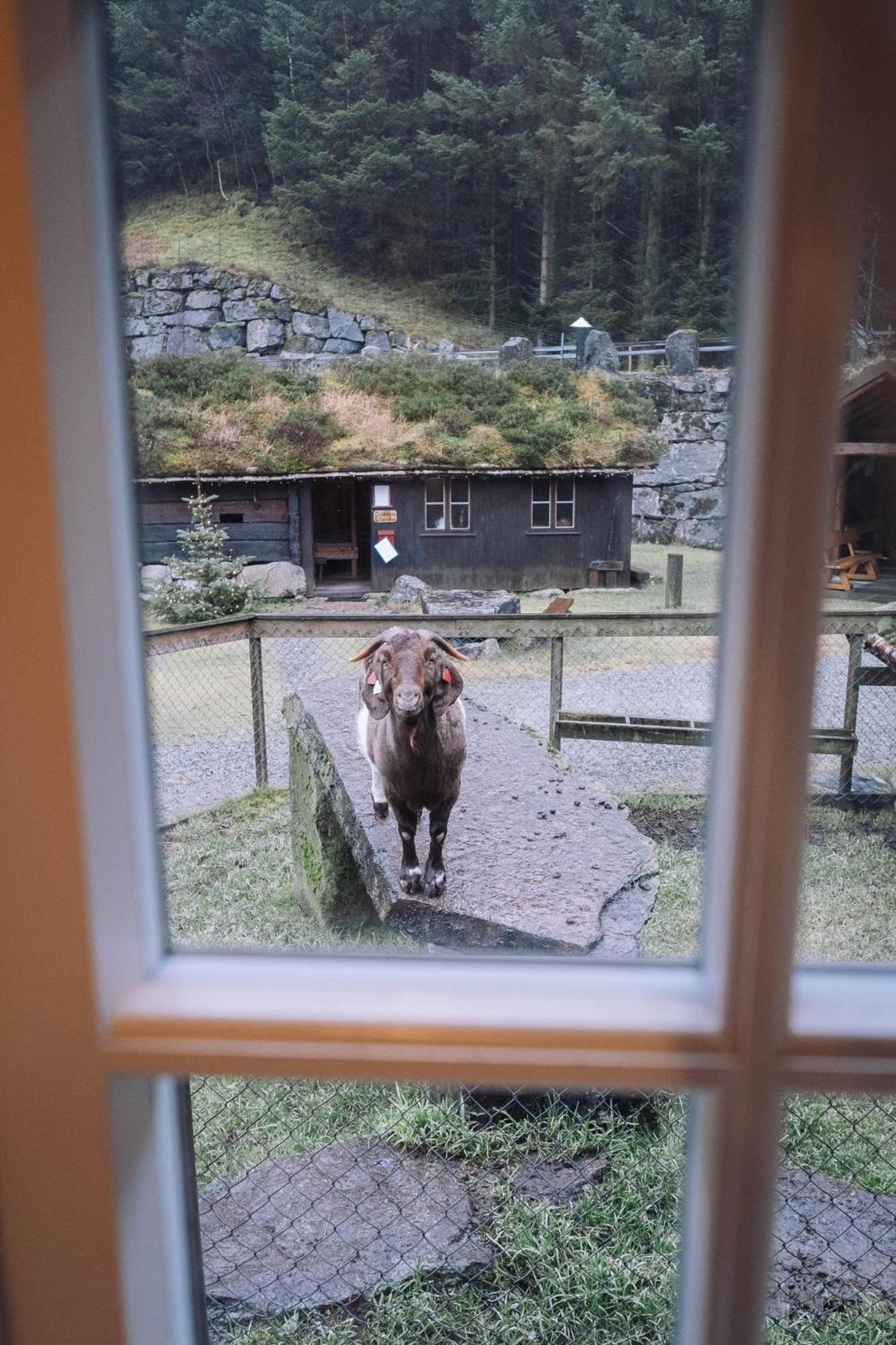 Byrkjedalstunet Hotell Extérieur photo